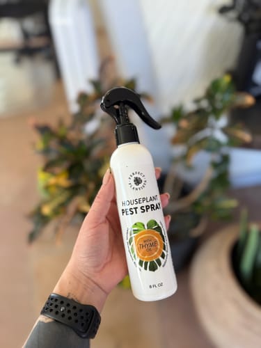 Customer photo review of Houseplant Pest Spray