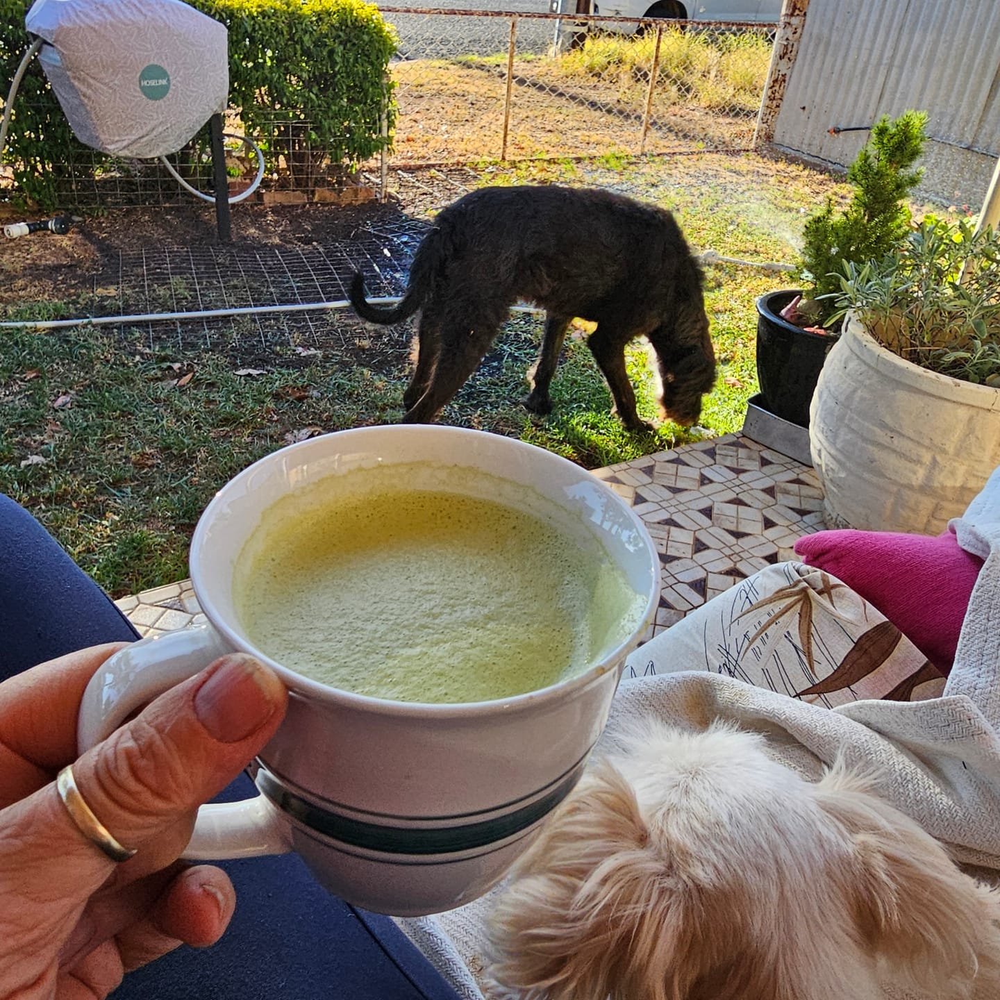 Customer photo review of Matcha Green Tea Powder 100g - Certified Organic