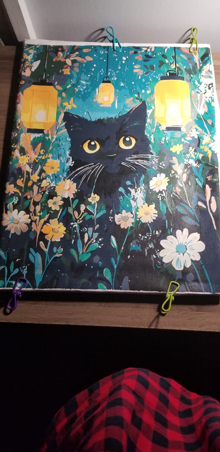 Customer photo review of Kitty Lights