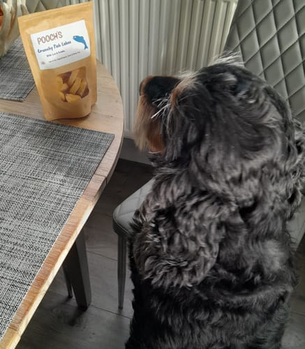 Customer photo review of Poochs Handmade Dog Treats