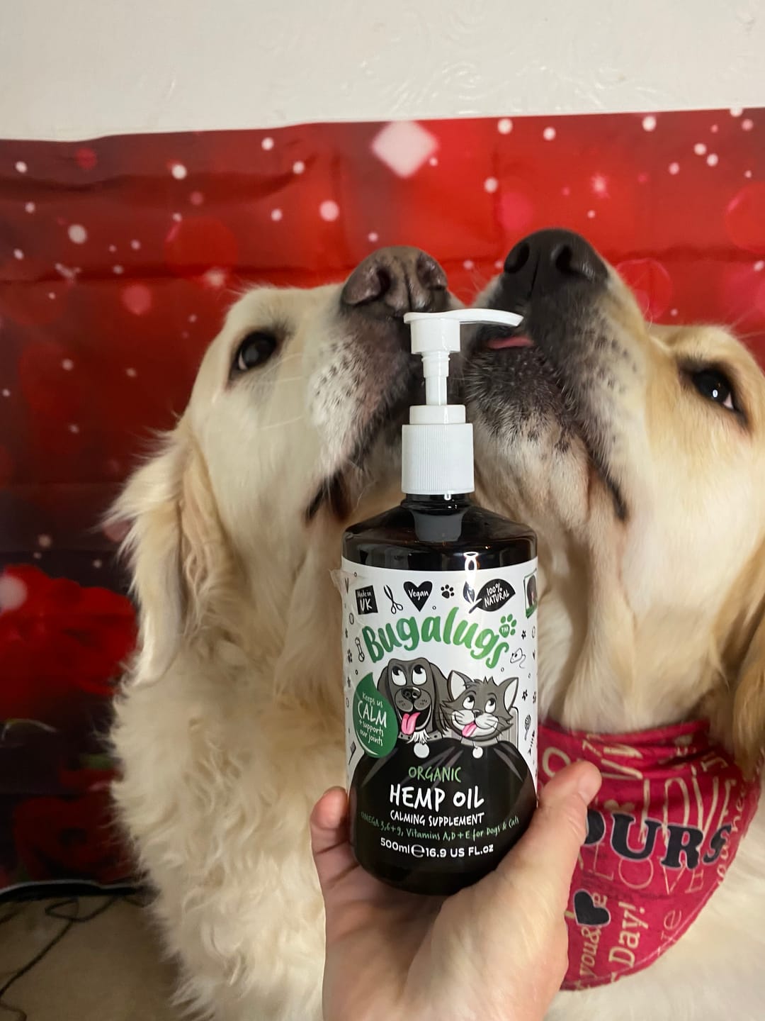Customer photo review of Organic Hemp Oil 100% Natural Calming Supplement for Dogs & Cats (500ml)