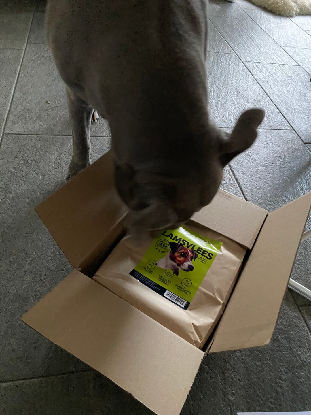 Customer photo review of Volwassen - Klein - Lamsvlees met Zoete Aardappel & Munt