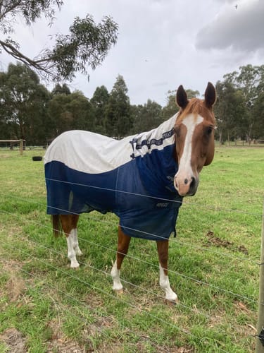 Customer photo review of Amigo Helix Airflow Disc Front