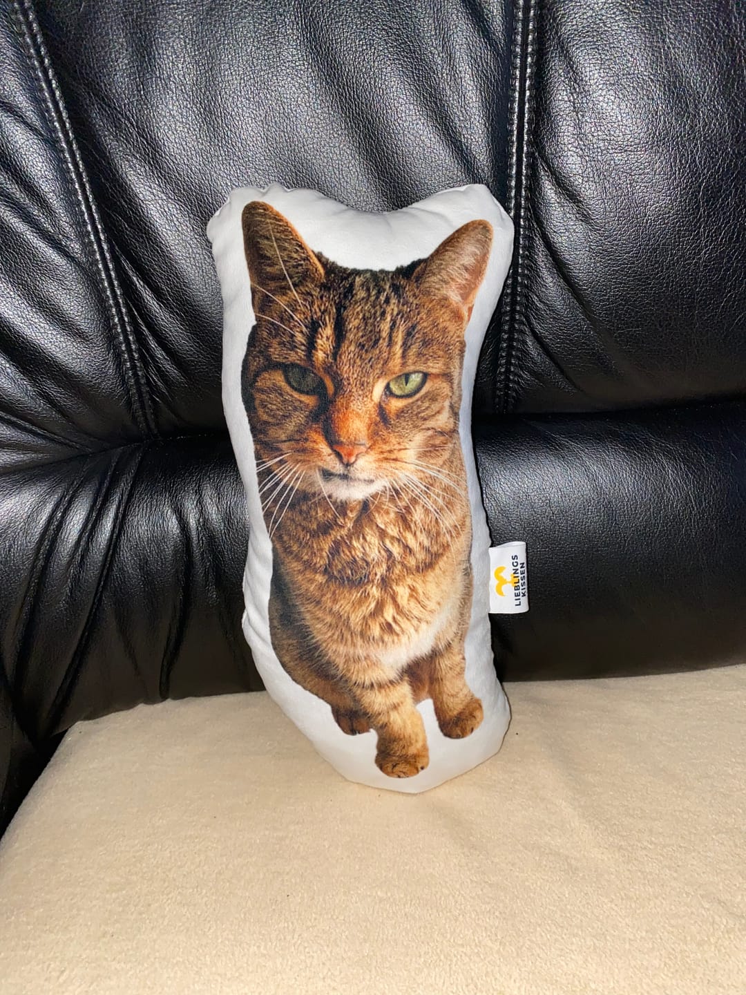 Customer photo review of Personalisiertes Katzenkissen
