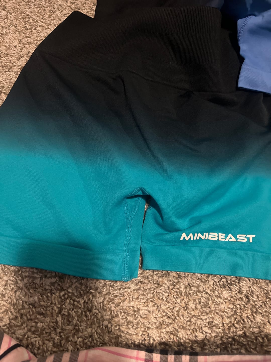 Customer photo review of Assets Elite Shorts