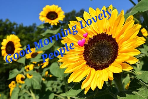 Customer photo review of CheetaThin® Collagen Powder 30% OFF - Today's Deal