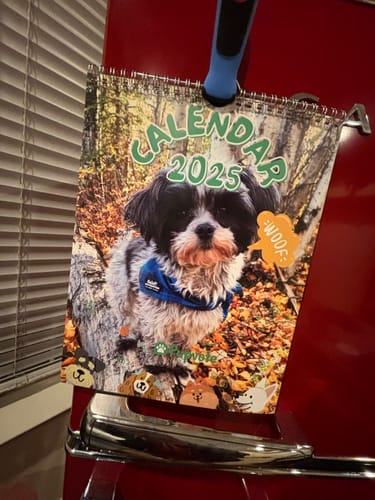 Customer photo review of PUPVOTE: 2025 Cutest Pet Calendar (Official Edition)