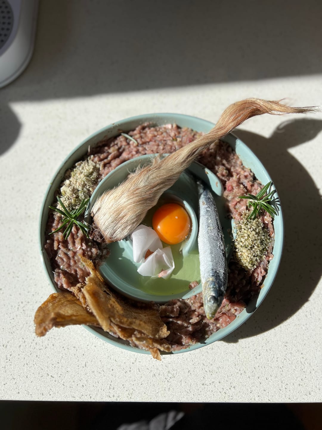 Customer photo review of Salmon for Dogs & Cats