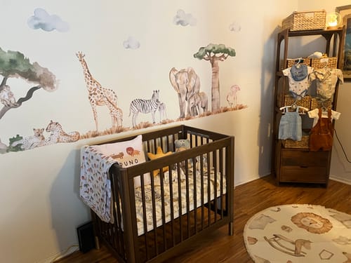 Customer photo review of Safari Animals