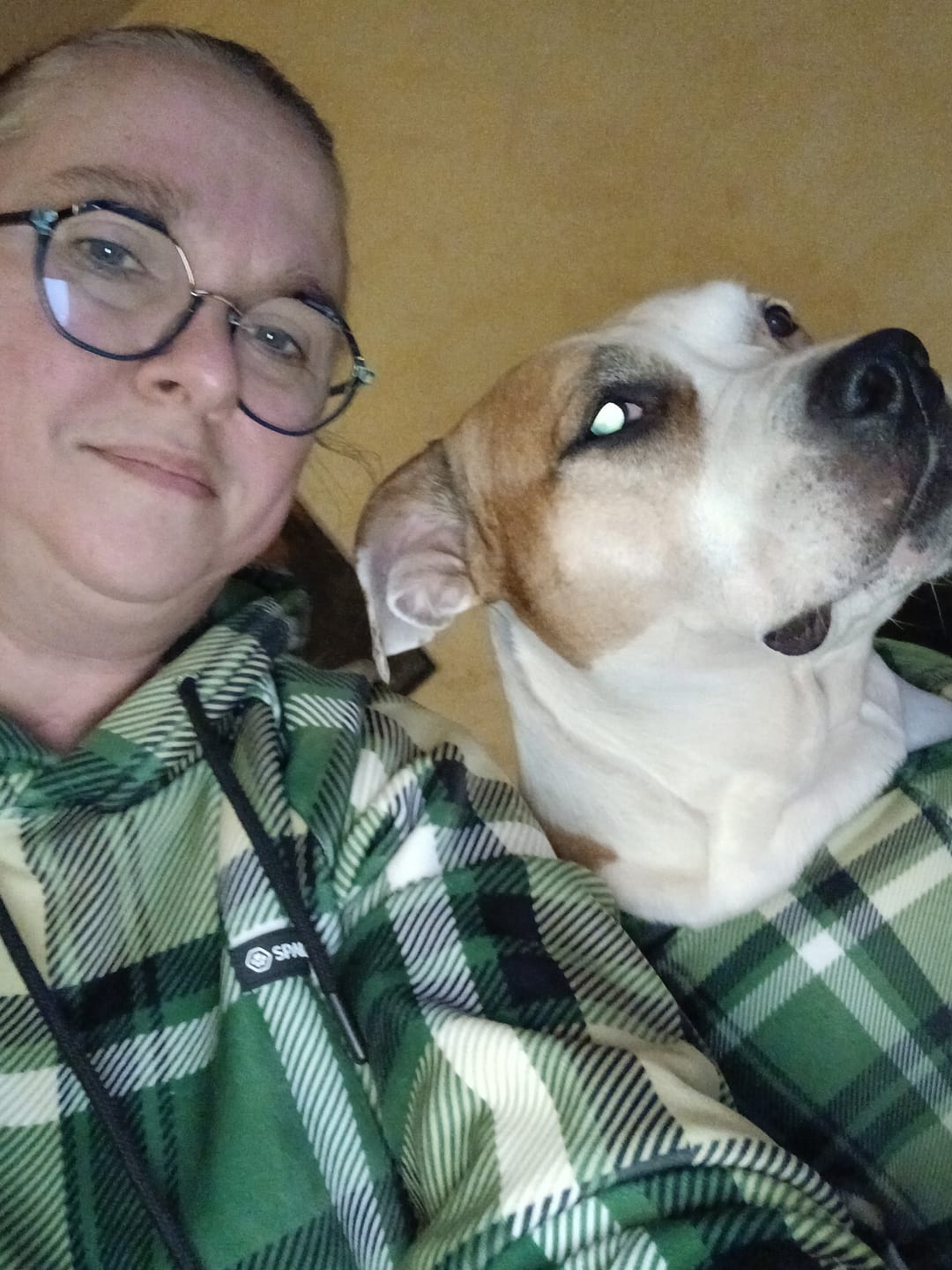Customer photo review of Green Plaid Human Hoodie