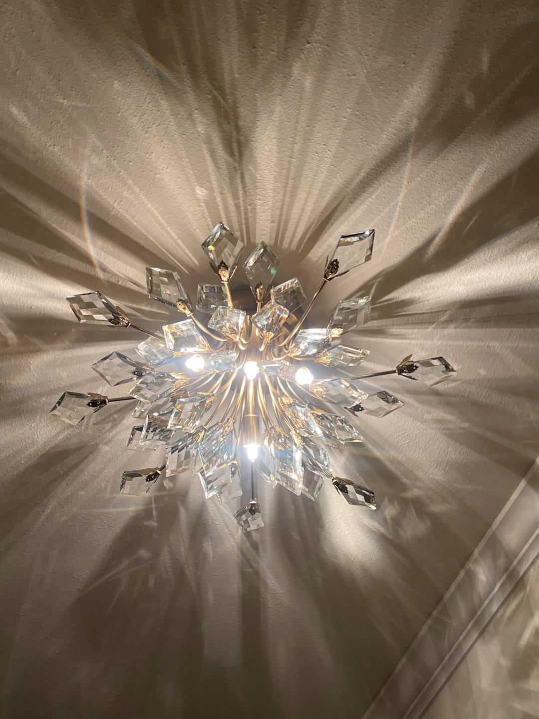 Customer photo review of 4-Light Bloom Crystal Leaf Semi Flush Mount Light