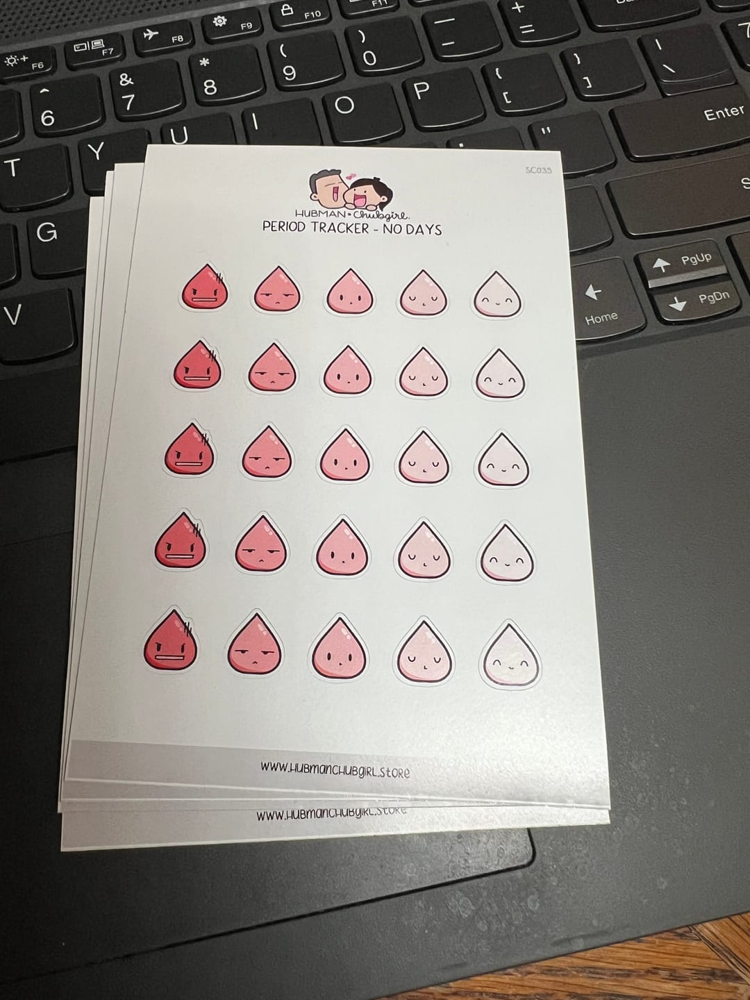 Customer photo review of Period Tracker Planner Stickers - No days