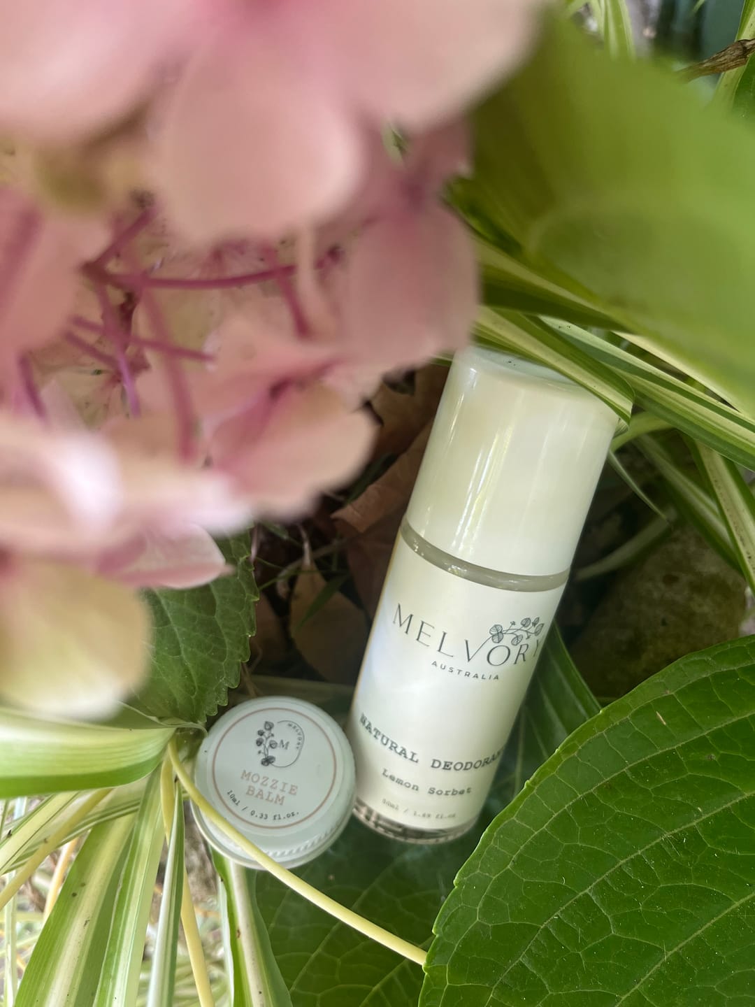 Customer photo review of Natural Deodorant Lemon Sorbet