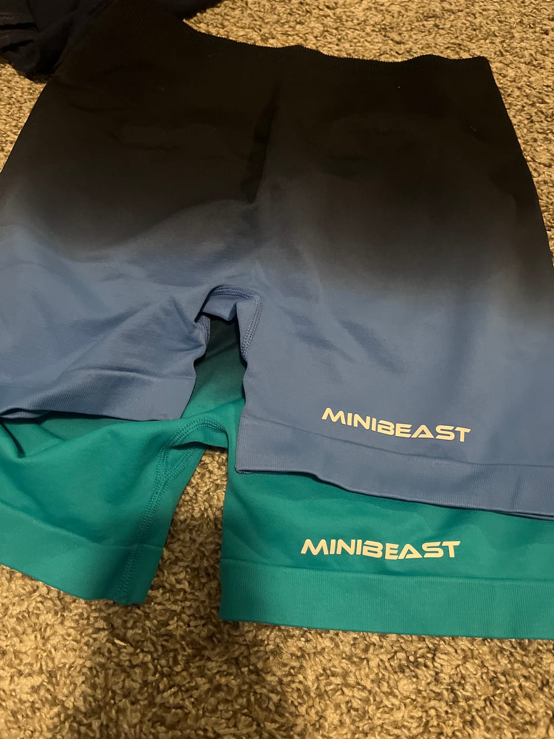 Customer photo review of Assets Elite Shorts