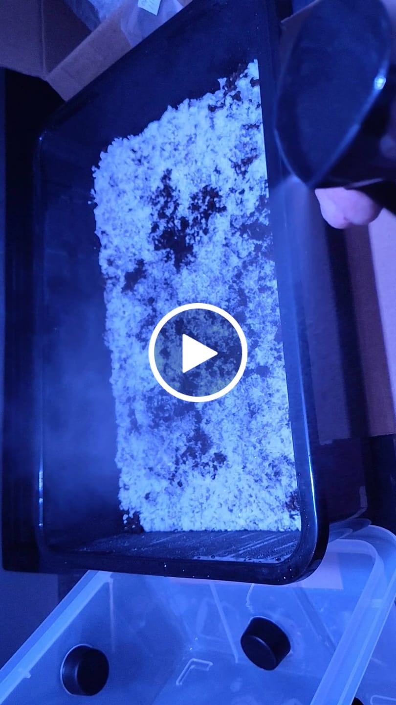 Customer video review of Fine Mist Sprayer