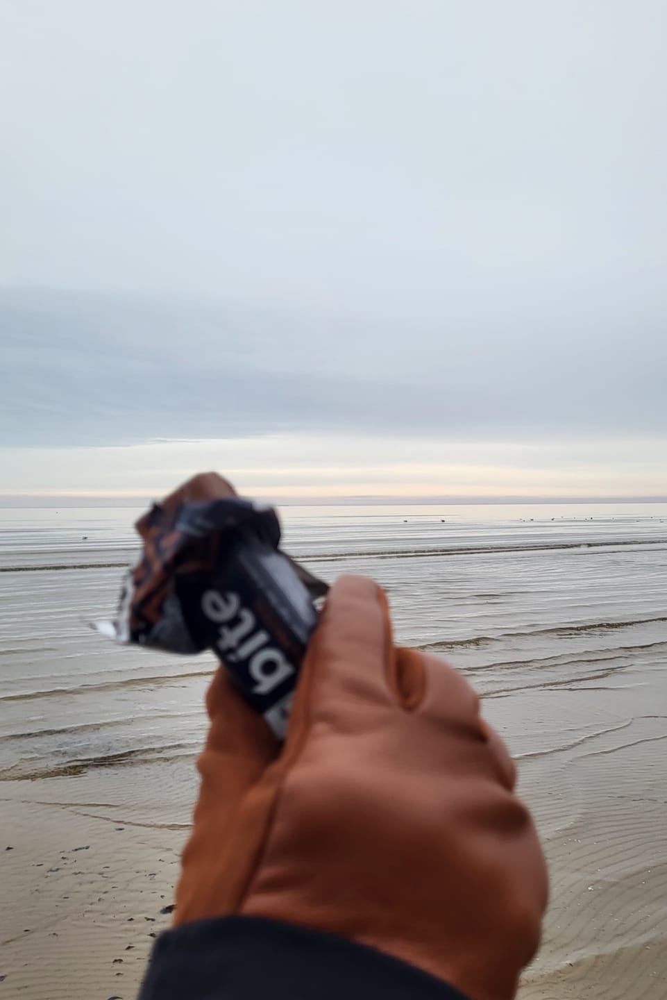 Customer photo review of PULS BITE Proteīna batoniņš (24 x 35 g)