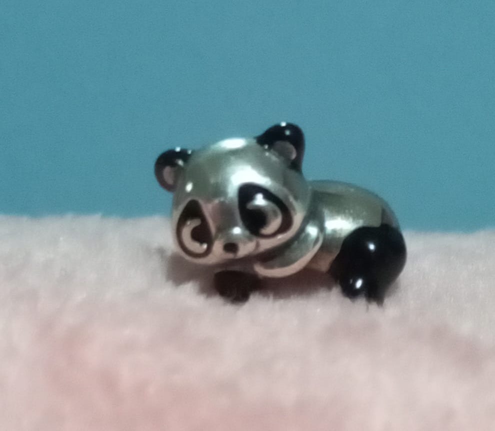 Customer photo review of Charm Oso Panda