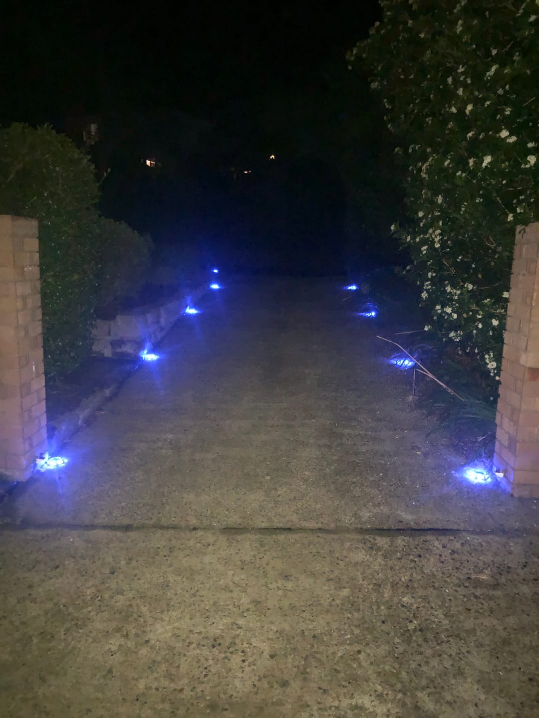 Customer photo review of Blue Solar Dock Lights Driveway Deck Lights