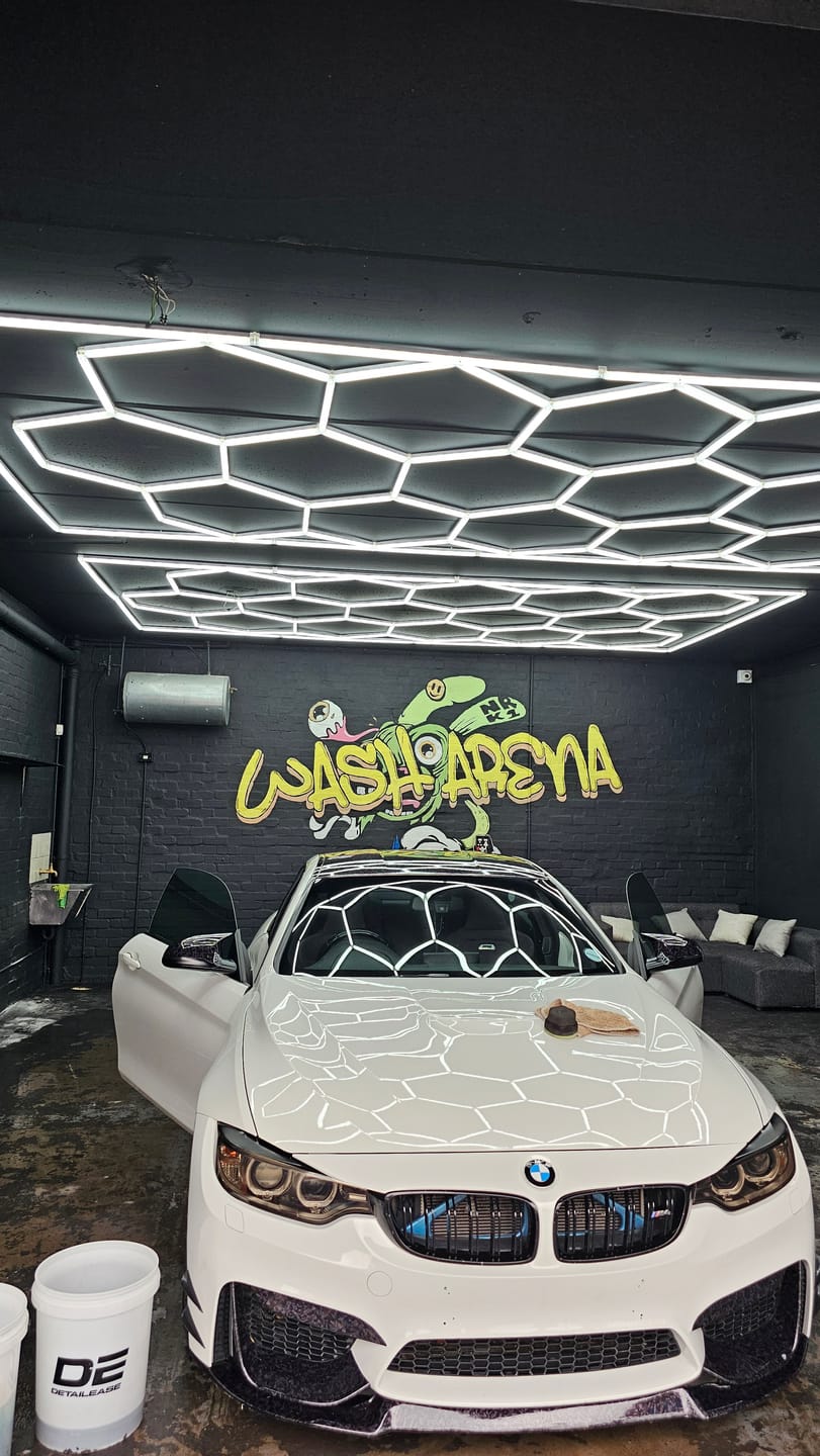 Customer photo review of Clear 20 Liter Detailing Bucket