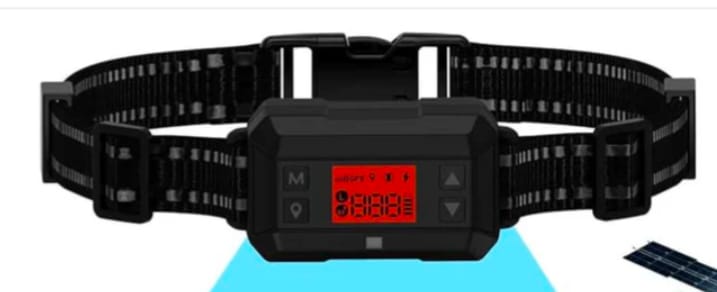 Customer photo review of GPS Dog Fence F8 | for Small, Medium and Large dogs