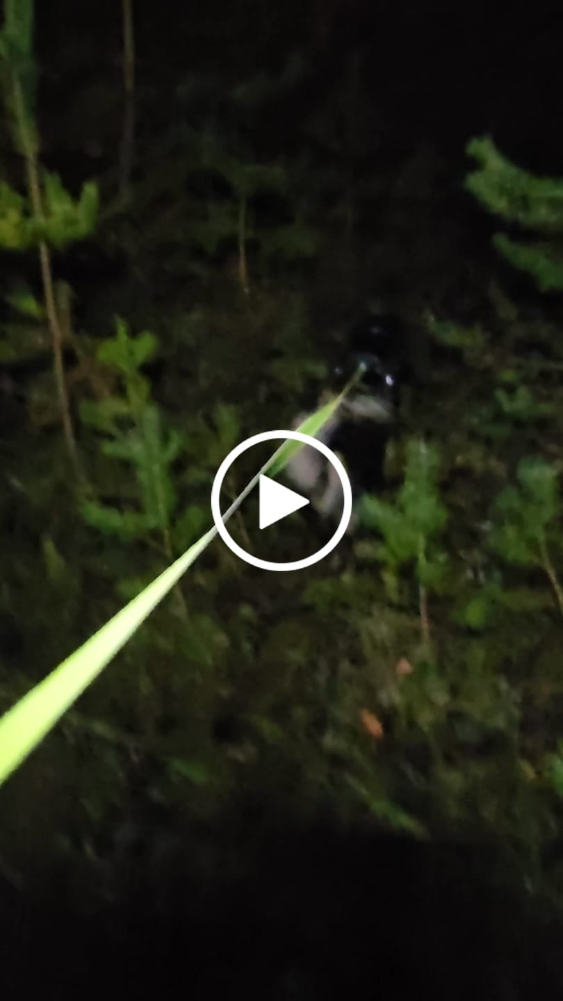 Customer video review of Adventure Light - das Original