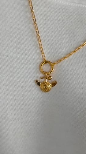 Customer photo review of Strength & Spirit Charm Necklace