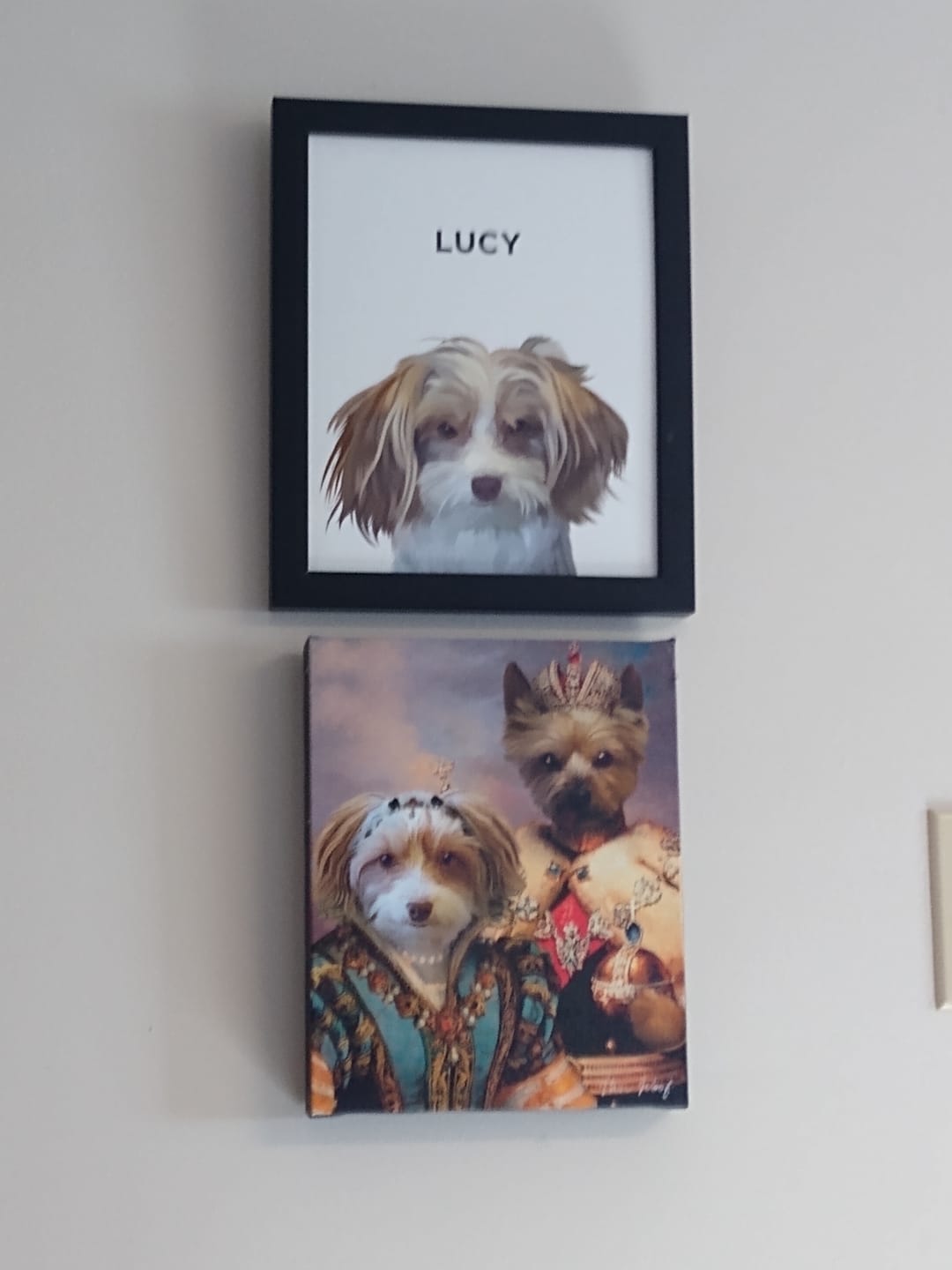 Customer photo review of Custom Pet Portrait (Framed)