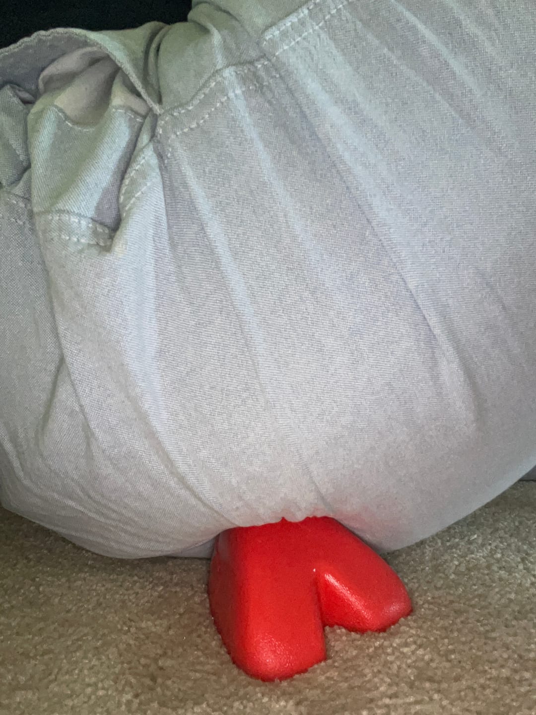 Customer photo review of Pocket Physio Max