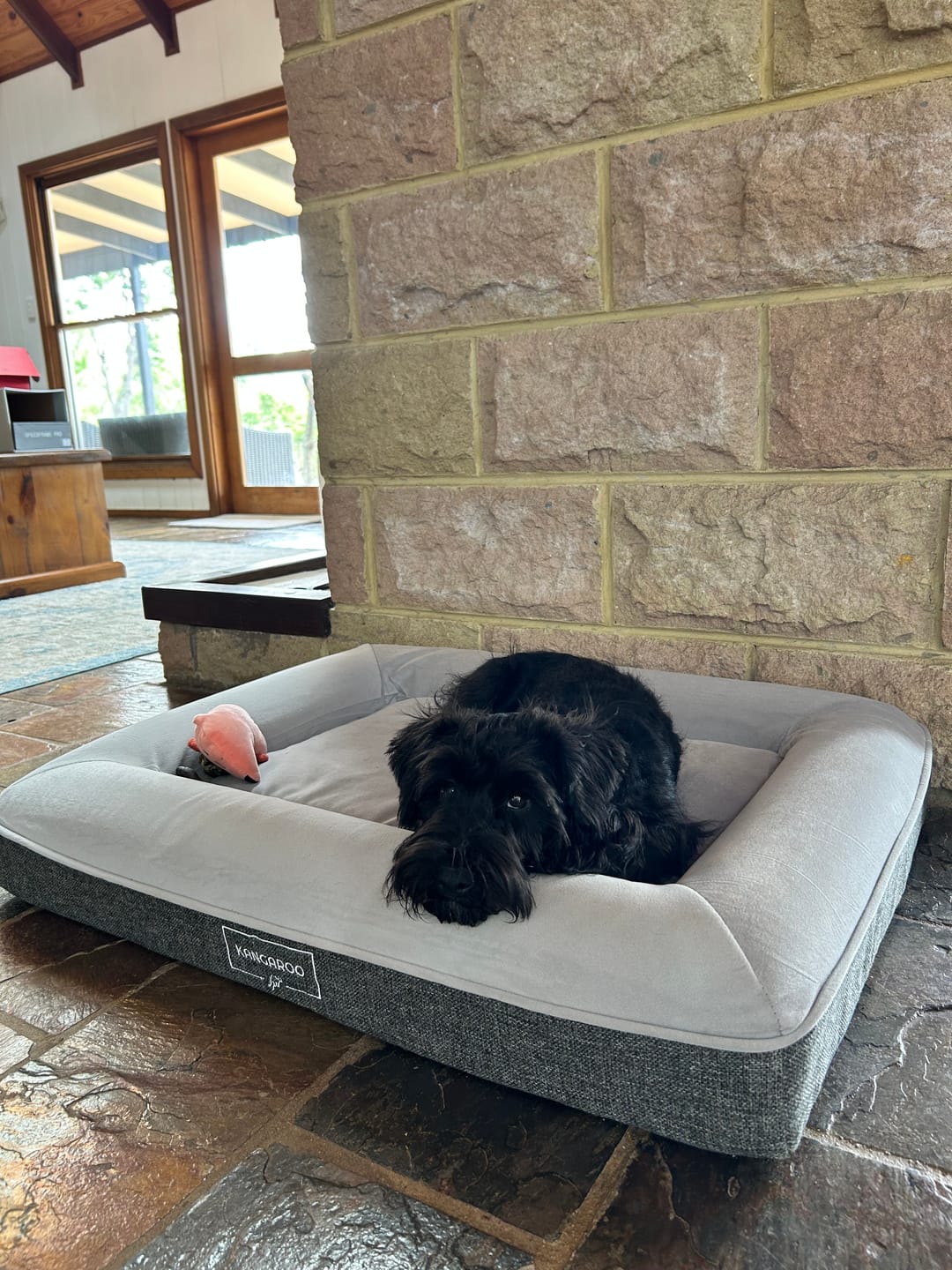 Customer photo review of Kangaroo Bed - Small