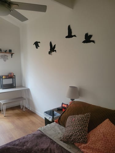 Customer photo review of Ducks - Metal Wall Art