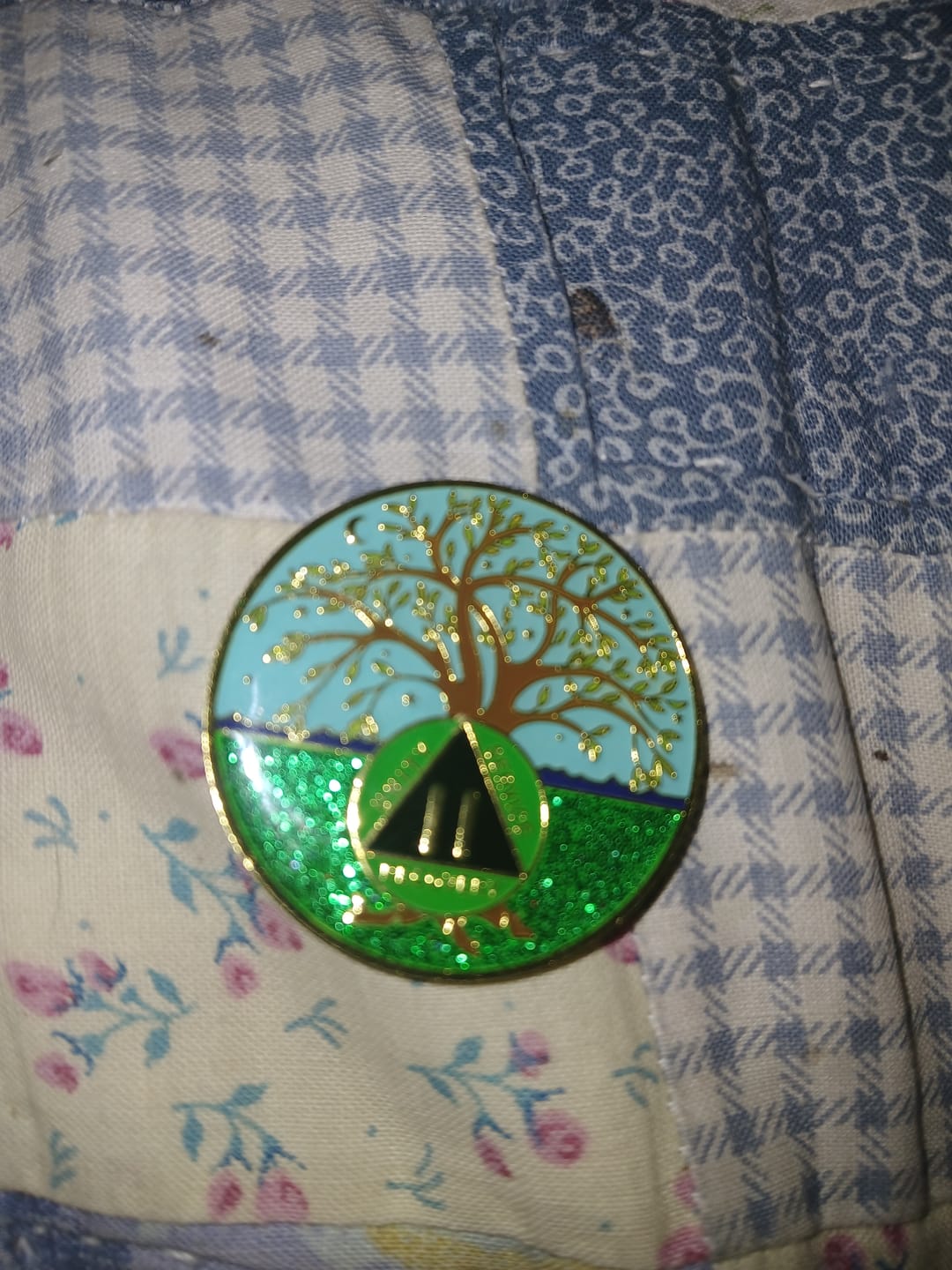 Customer photo review of 1 to 60 Year Tree of Life Specialty AA Recovery Medallion - Tri-Plated Chip/Coin