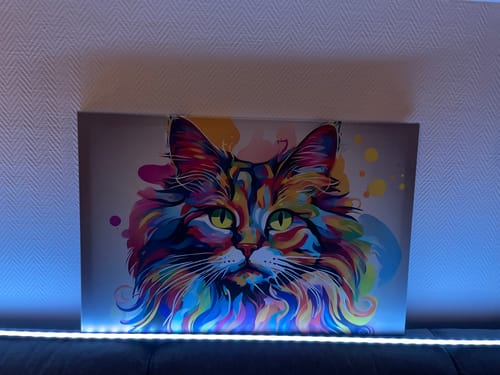 Customer photo review of Leinwandbild bunte Pop Art Katze Querformat