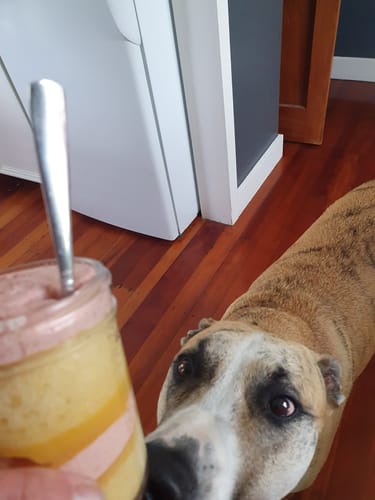 Customer photo review of Lemon + Raspberry Cake Jar