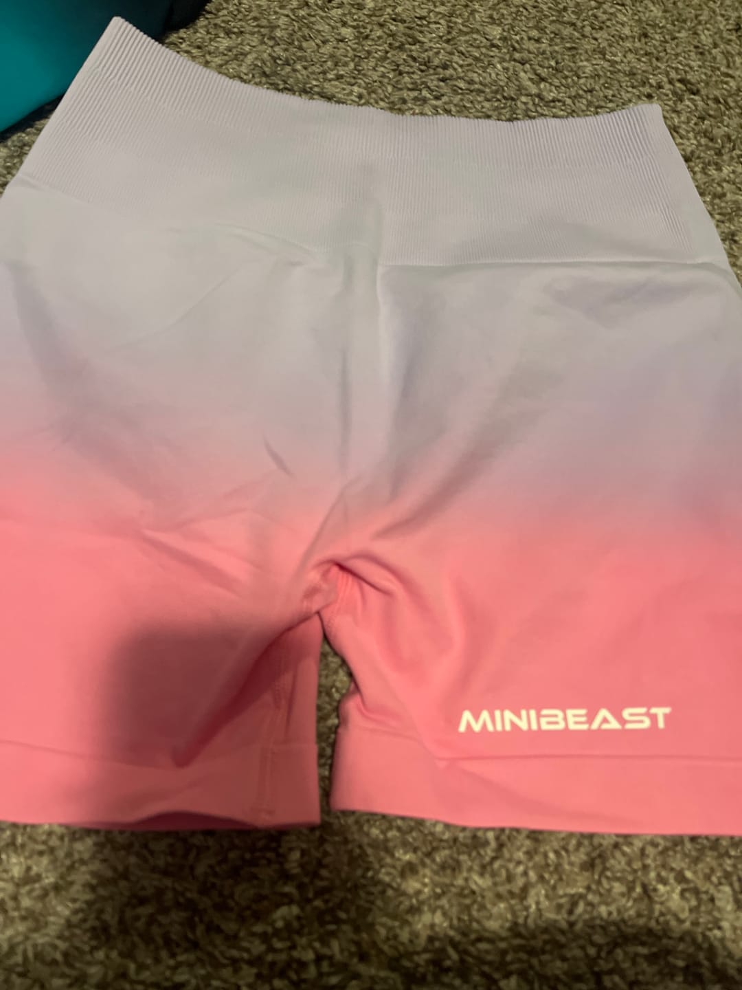 Customer photo review of Assets Elite Shorts