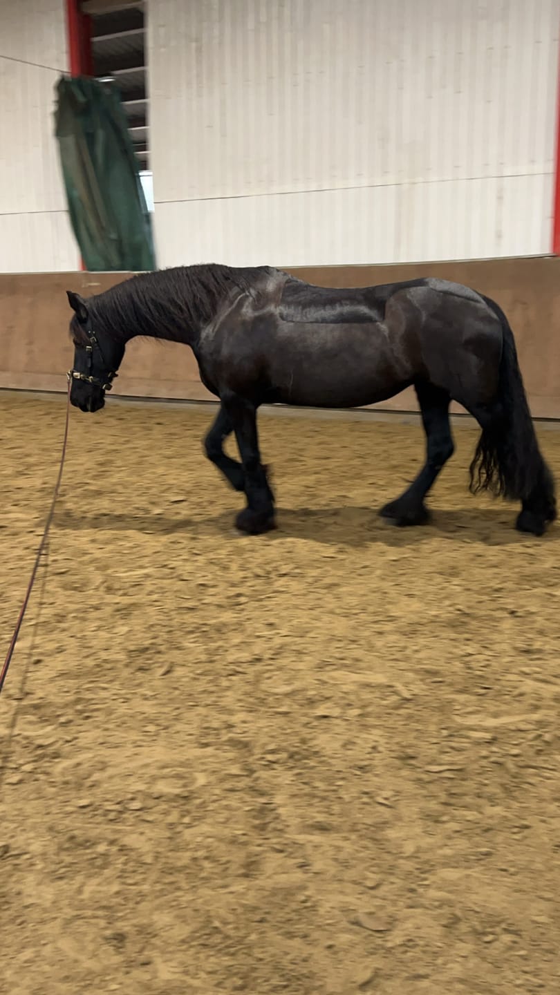 Customer photo review of Kristallkraft Femmina