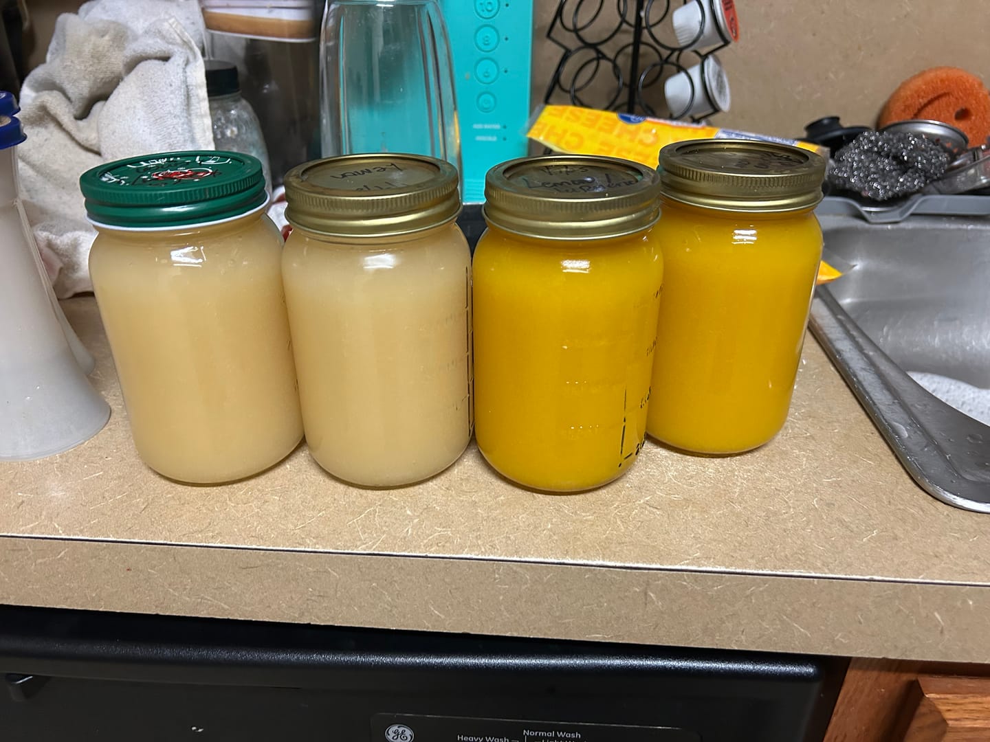 Customer photo review of Irish Sea moss