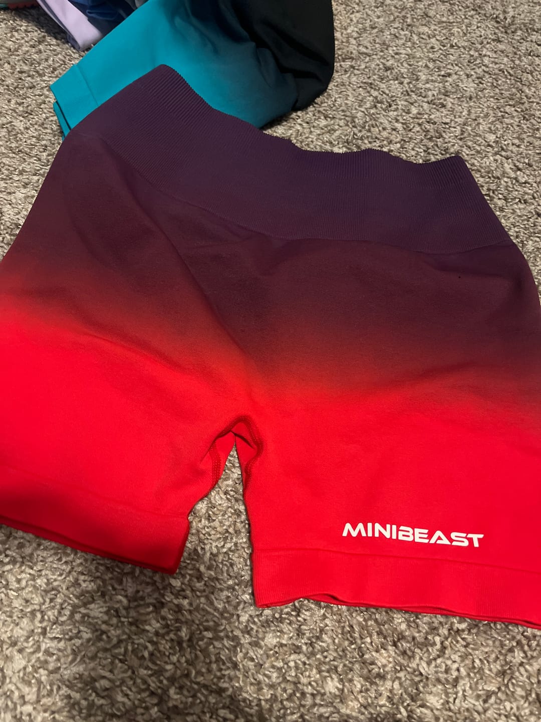 Customer photo review of Assets Elite Shorts