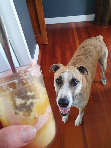 Customer photo review of Lemon + Raspberry Cake Jar