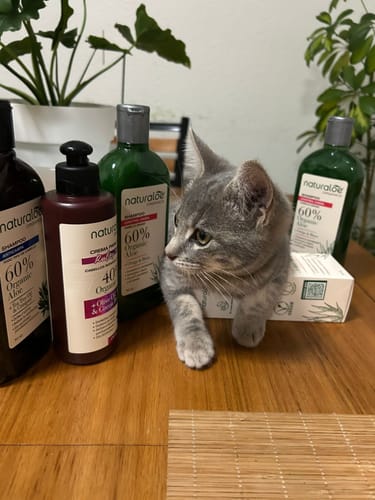 Customer photo review of Set 2 Shampoo Control Caida Normal a Graso + 1 Loción Anticaída