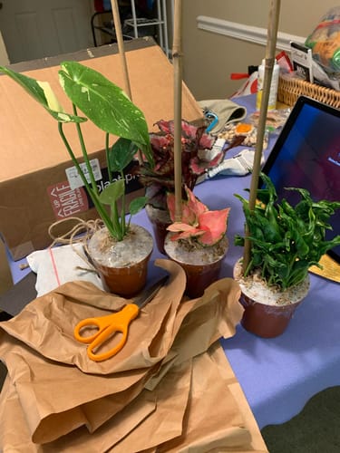 Customer photo review of Winter Protection