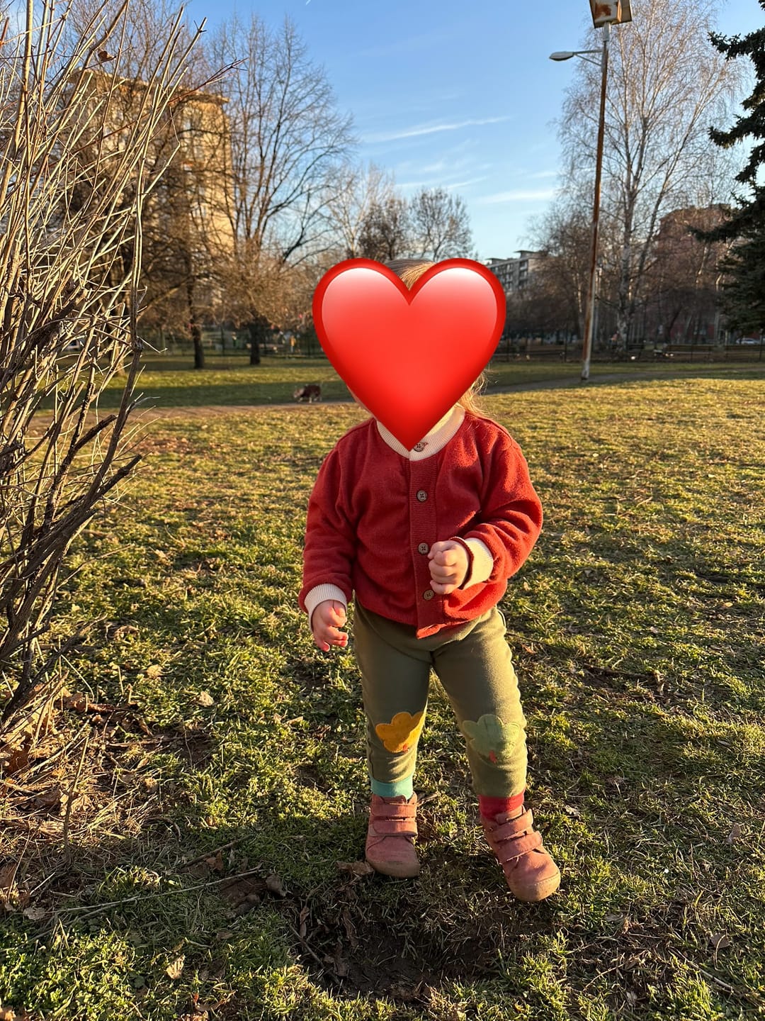 Customer photo review of Woodland Green Leaf Knee Patch Joggers