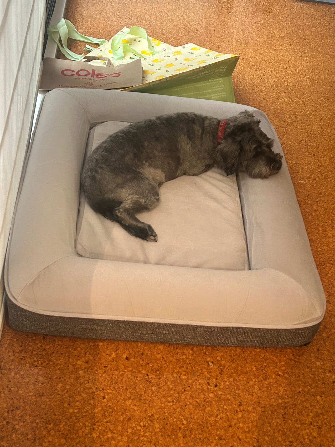 Customer photo review of Kangaroo Bed - Small