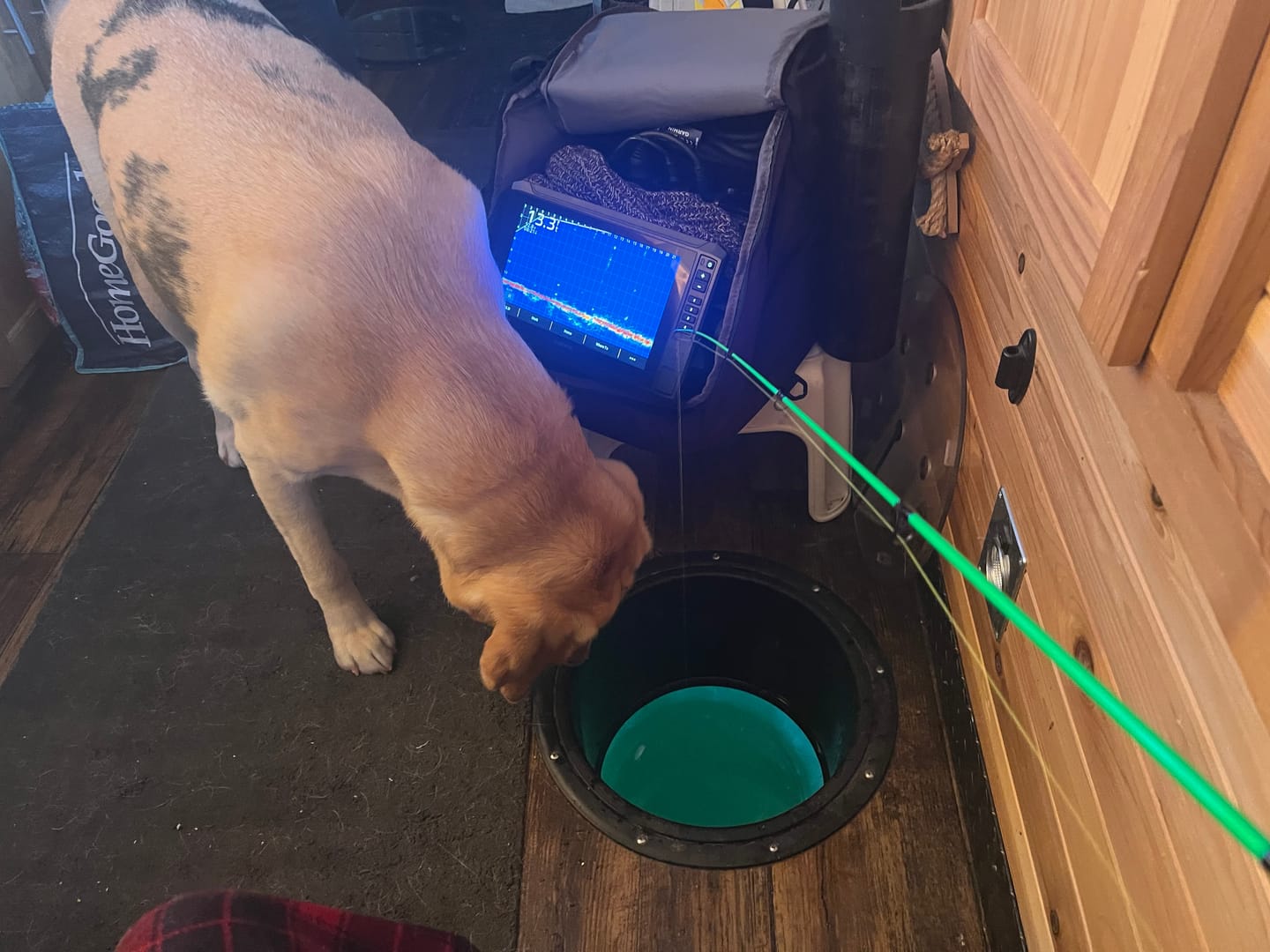 Customer photo review of Pre-Built Power Noodle