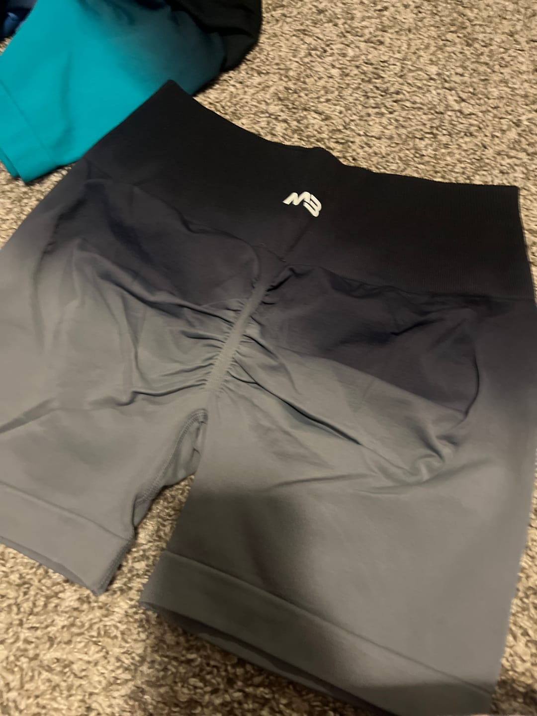 Customer photo review of Assets Elite Shorts