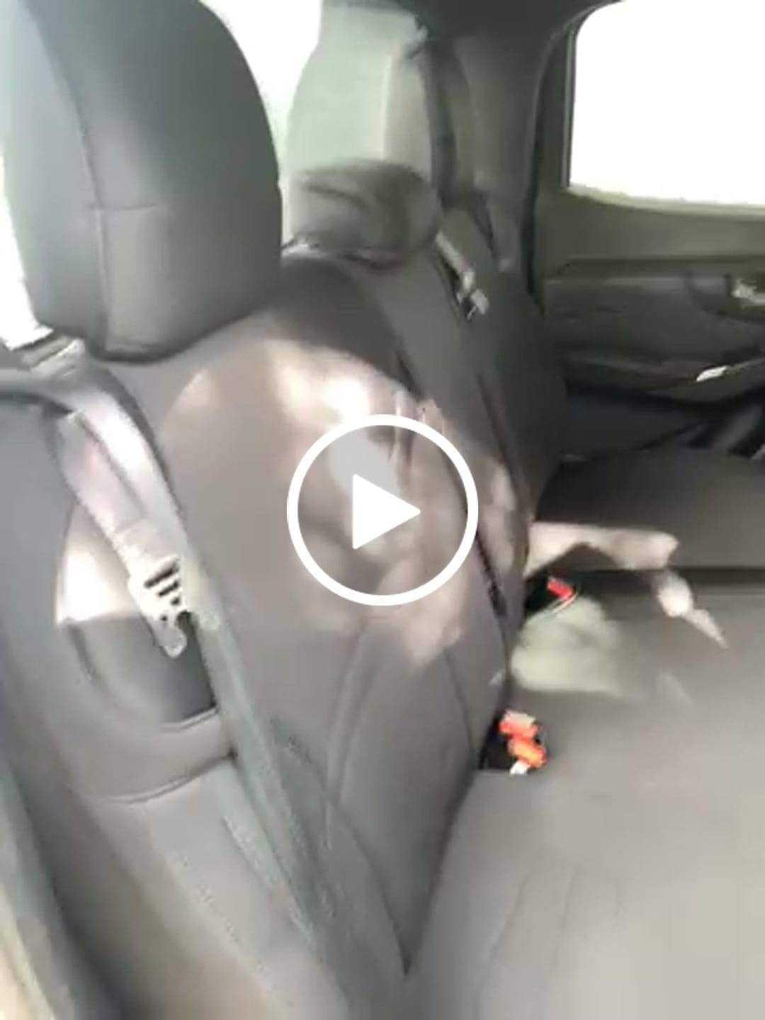 Customer video review of Sharkskin PLUS Seat Covers for Isuzu D-Max Crew/Dual Cab (07/2020-On)