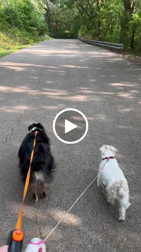 Customer video review of Freedom Joint Drops