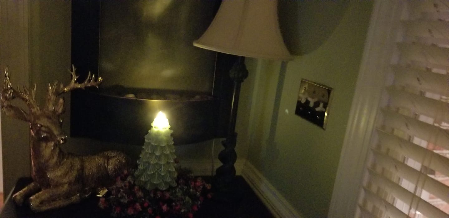 Customer photo review of Gold Elegant Glistening Sitting Reindeer For Christmas Decor