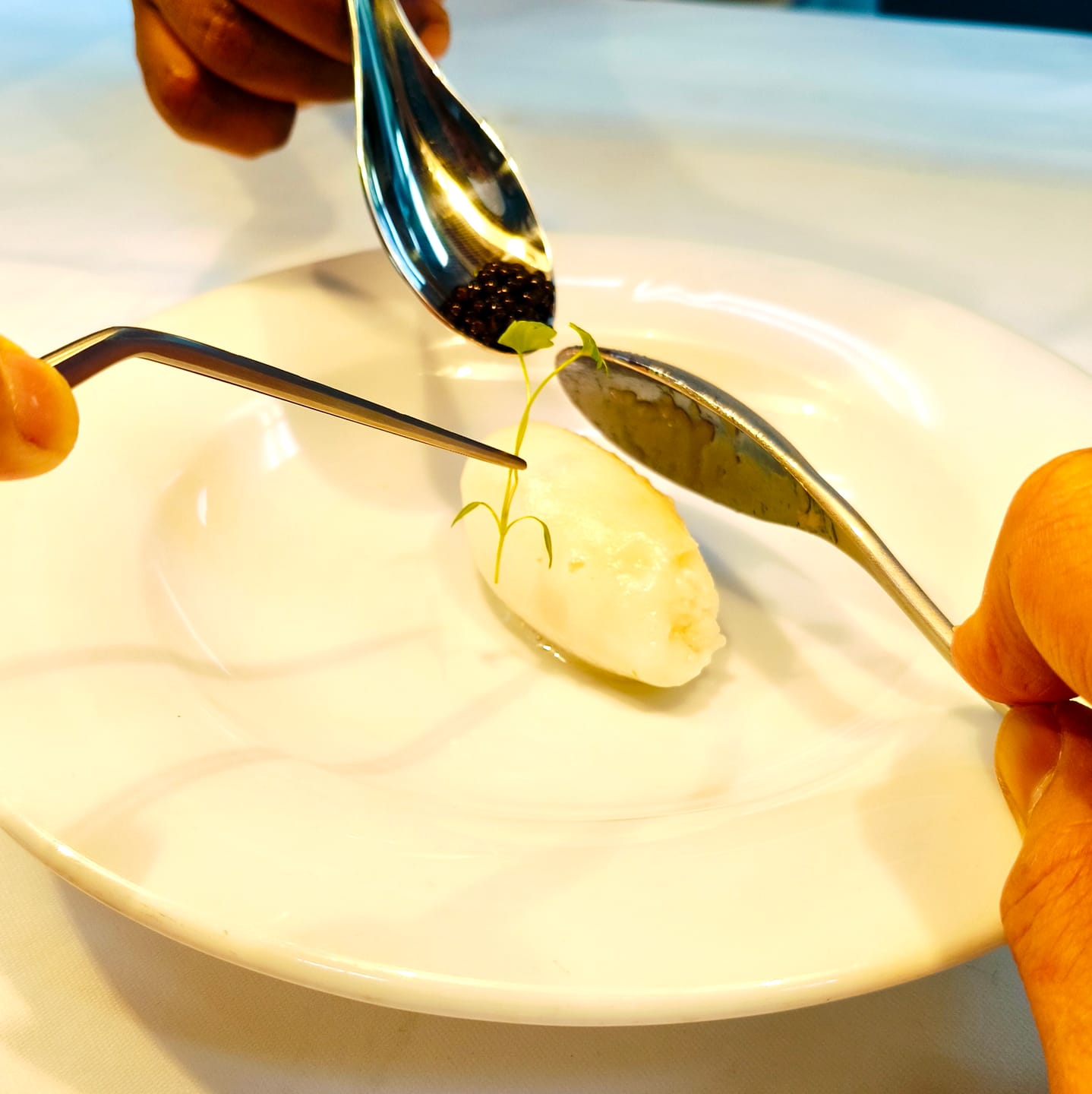 Customer photo review of SignatureSpoon Duo