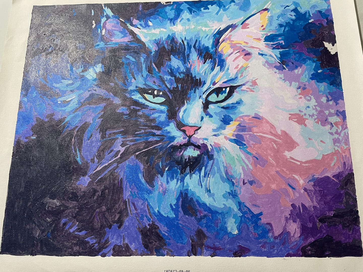 Customer photo review of Cosmic Cat