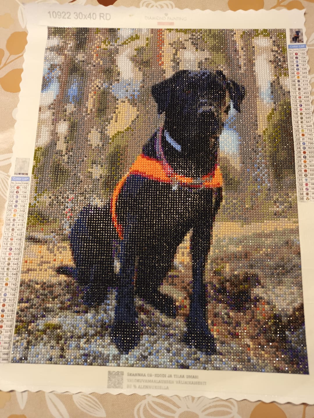 Customer photo review of Diamond Painting -maalaus omasta kuvasta